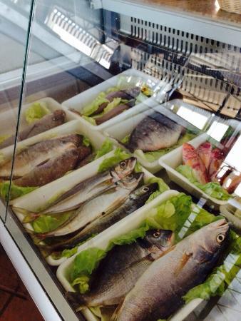 Merendero Costa del Sol